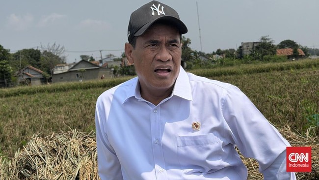 Amran Ungkap Cara Buruh Tani Tanpa Sawah Bisa Raup Rp5 Juta Sebulan