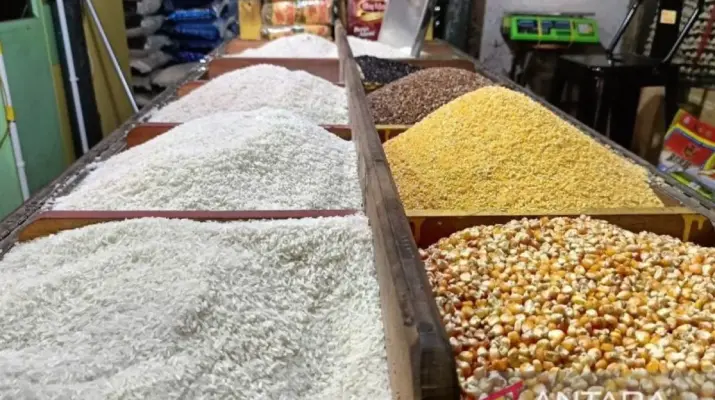 Ekonom Dorong Rantai Pasok Pangan Berbasis Komunitas untuk Menjaga Stabilitas Harga di Pasar
